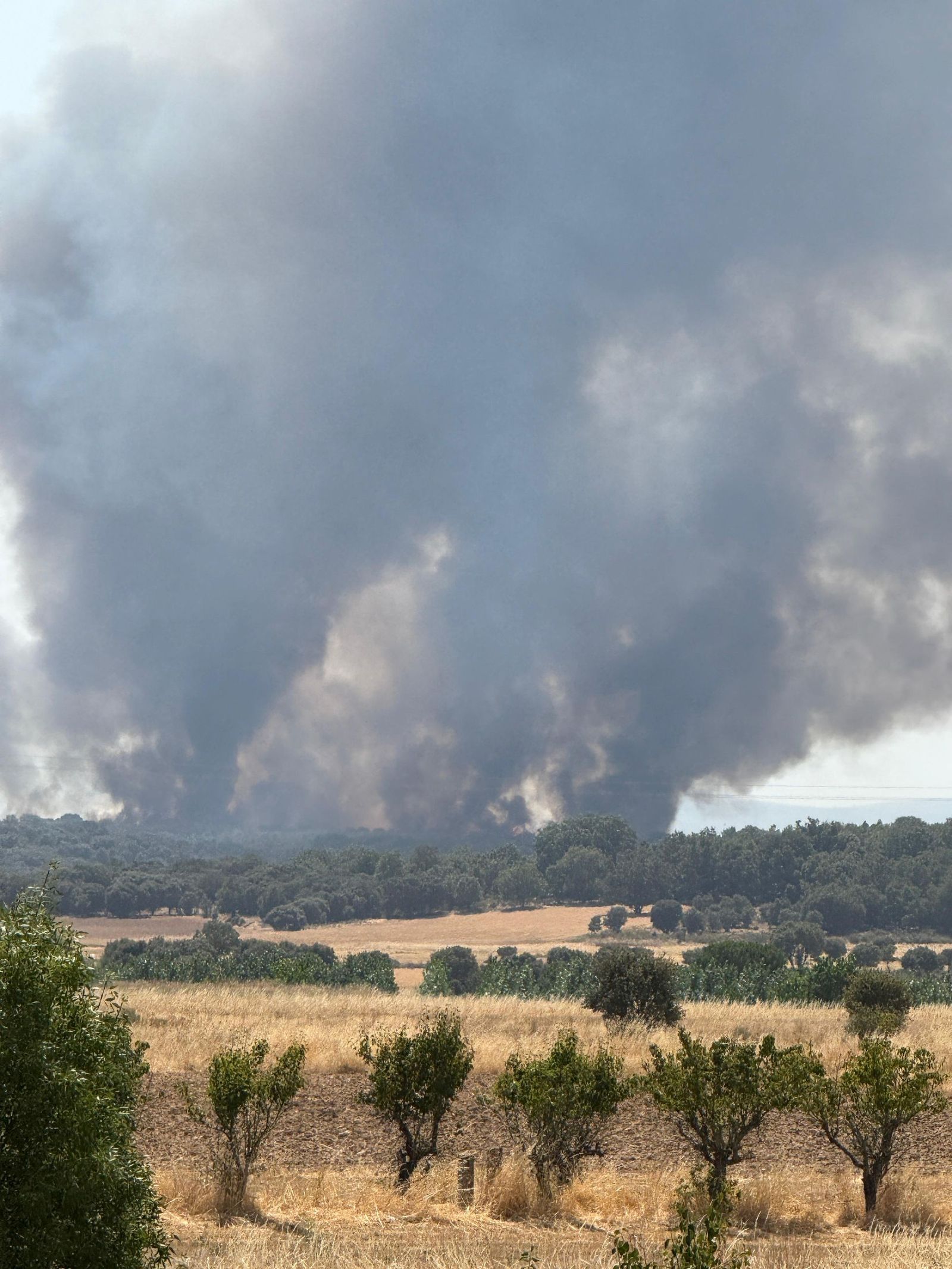 Las desoladoras imágenes del incendio que ha afectado a Molezuelas de la Carballeda, Uña de Quintana y Cubo de Benavente