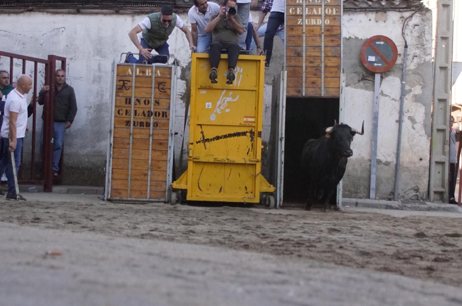 Toro del cajón y capea en Alba de Tormes