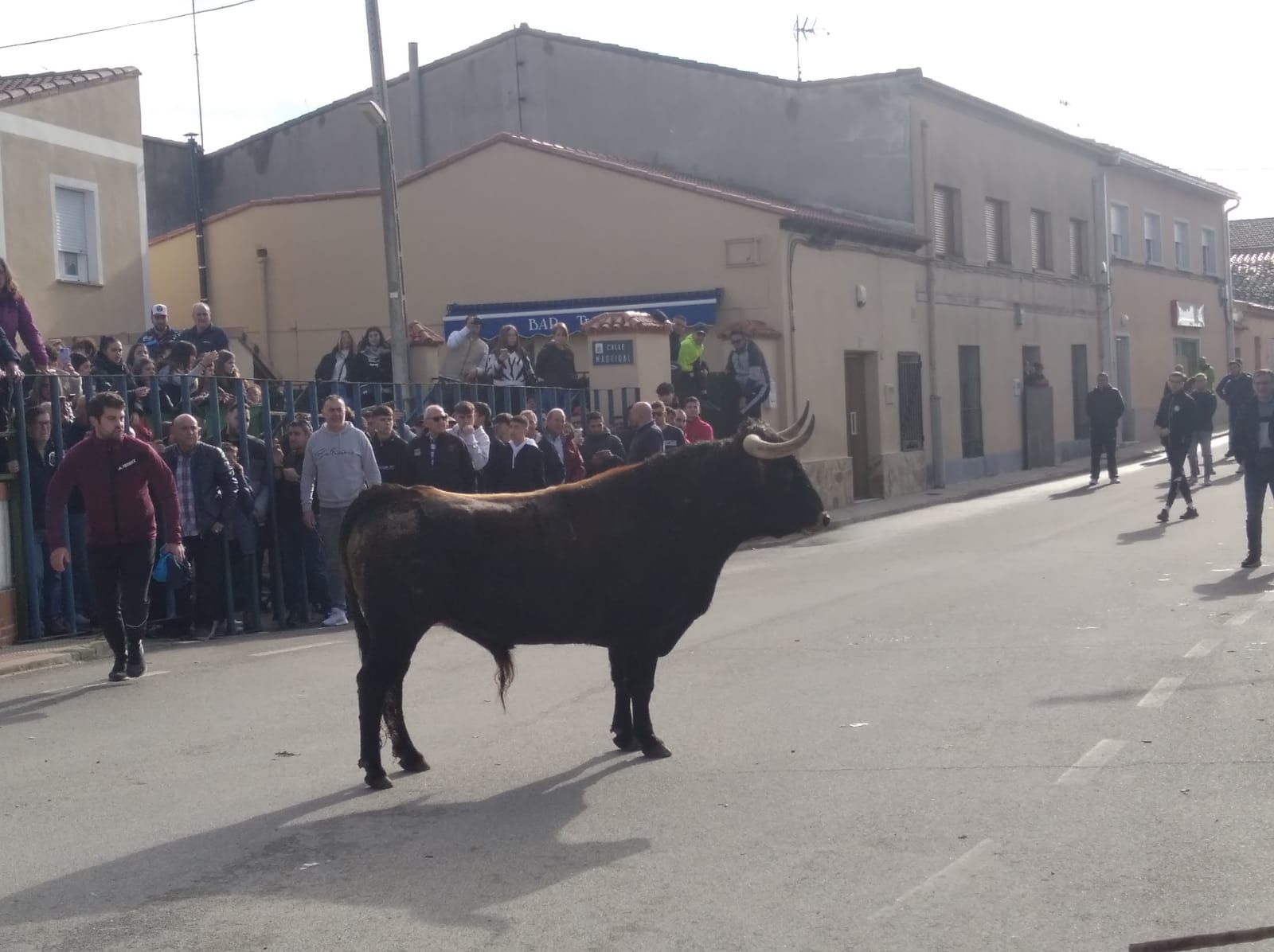 Toro del cajón de Cantalapiedra