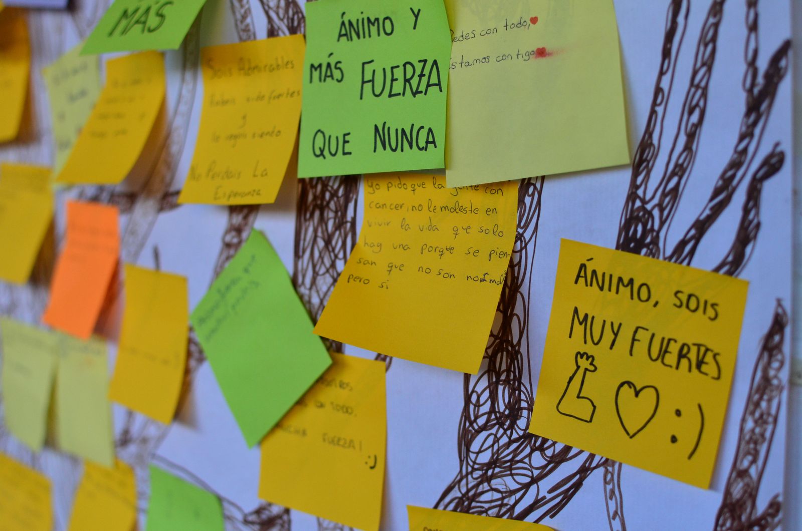 centro-sagrada-familia-siervas-de-san-jose-especial-ensenanza-2021-30