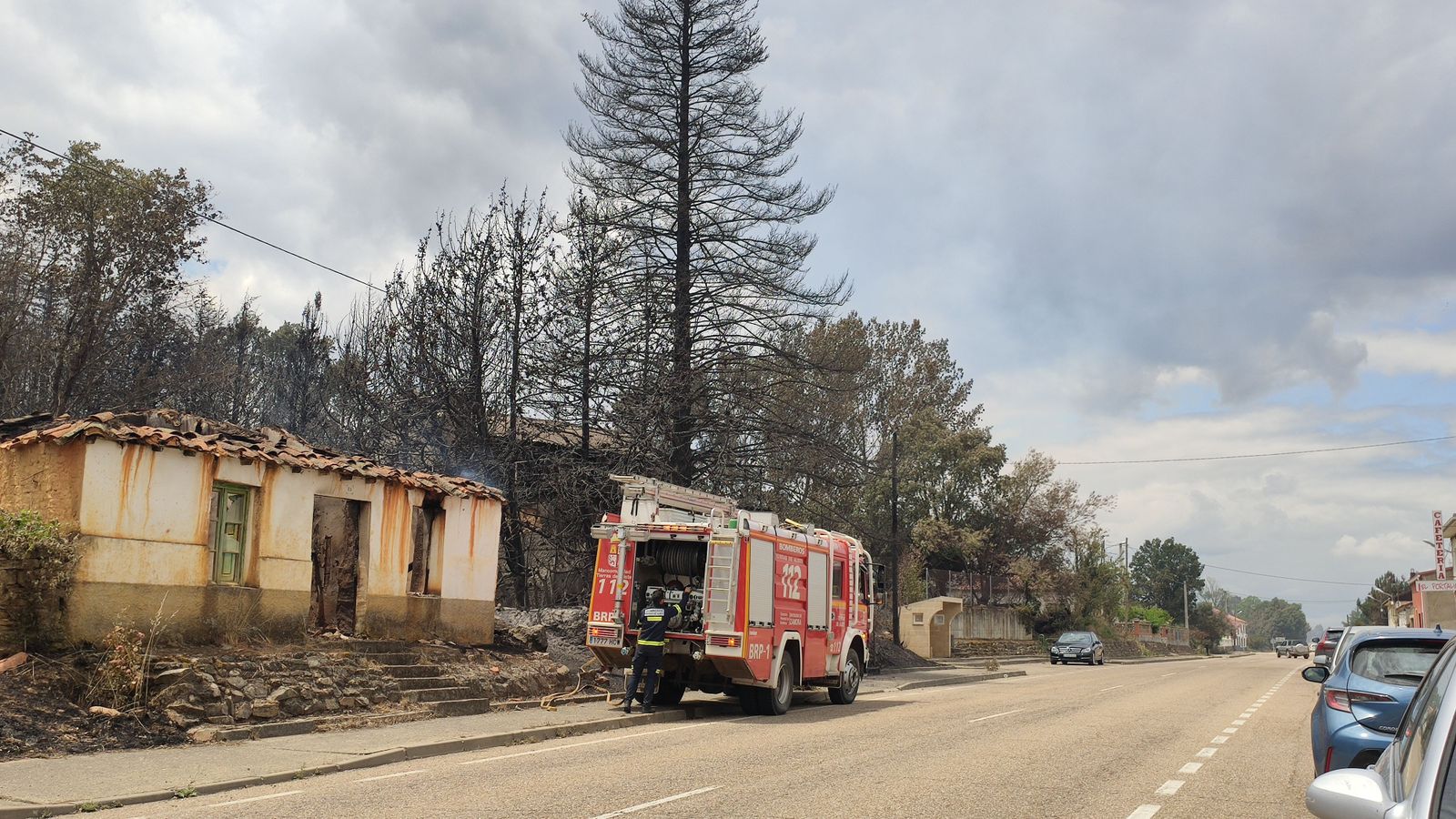 las-desoladoras-imagenes-de-la-sierra-de-la-culebra-tras-el-incendio-31