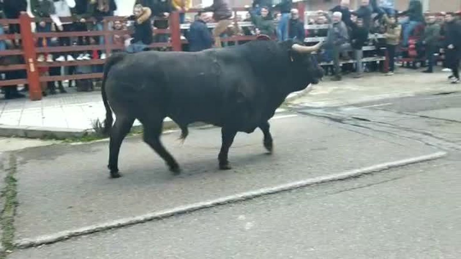 WhatsAppVideo20200118at17.22