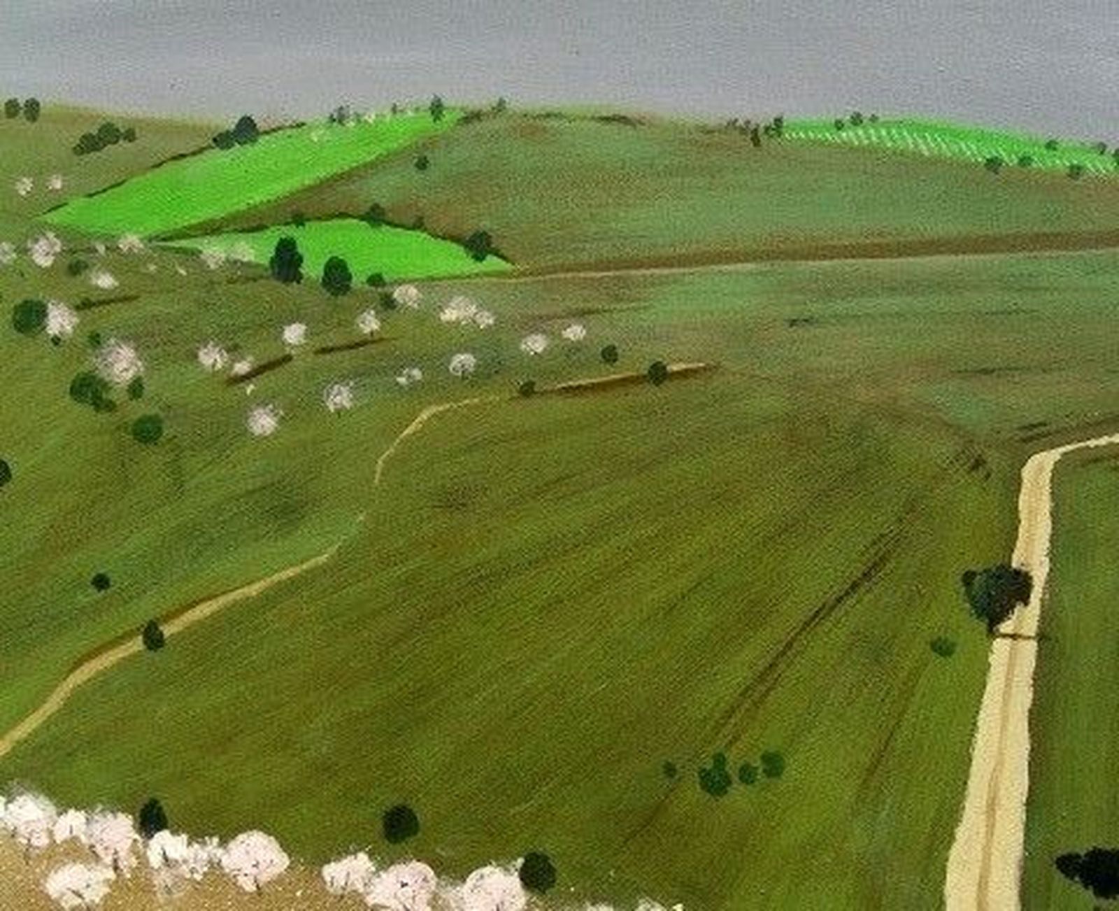 El campo salmantino, a través de la visión de David Pearson