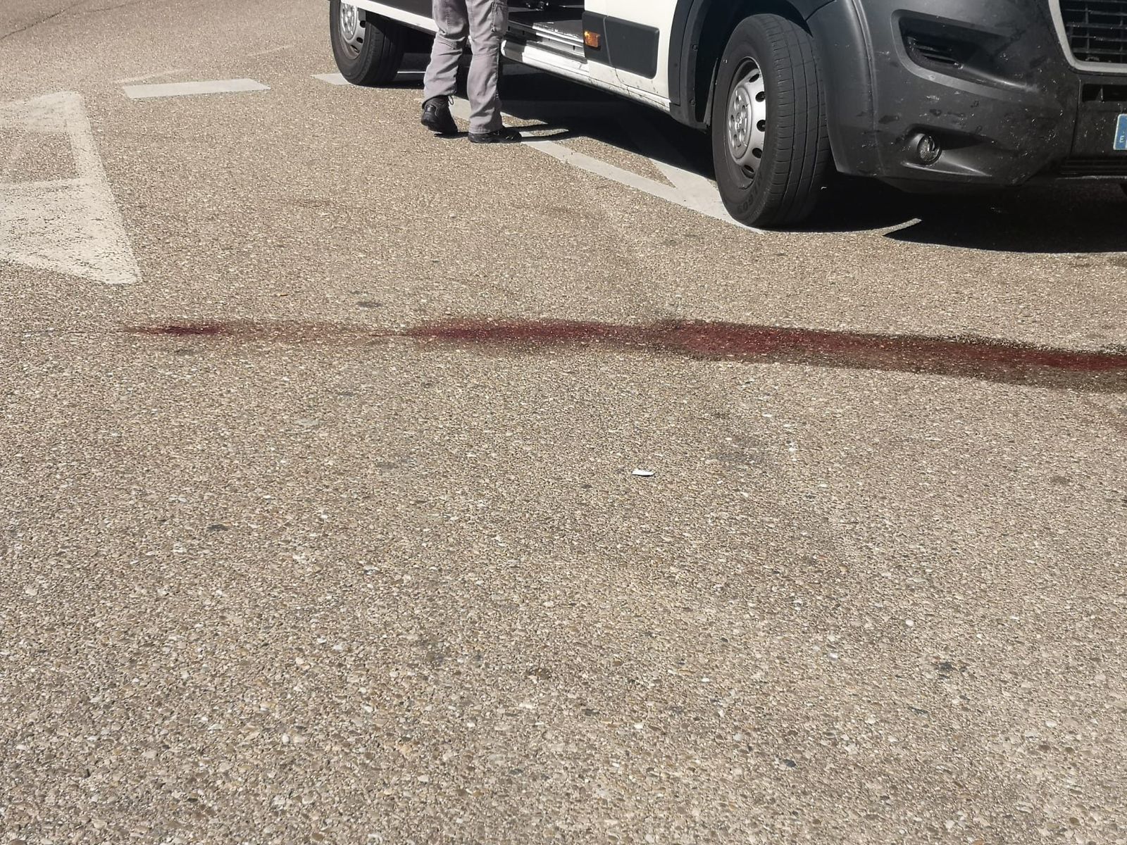 WhatsApp Image 2020 10 09 at 14.58.16