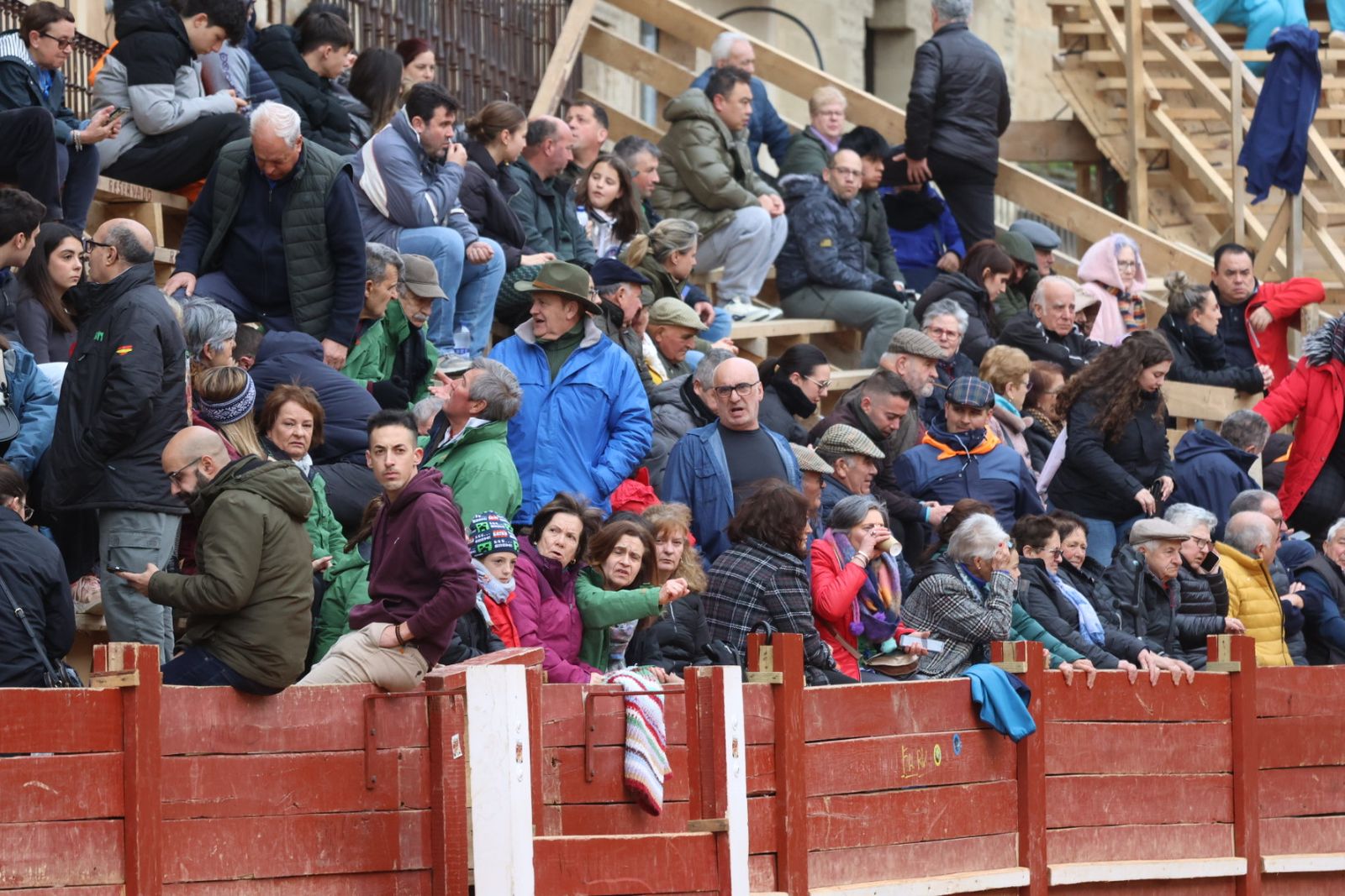 Novillada con picadores de lunes en el Carnaval del Toro de Ciudad Rodrigo 2026