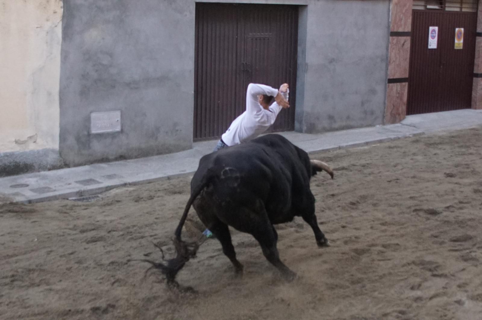 Toro del cajón y capea en Alba de Tormes