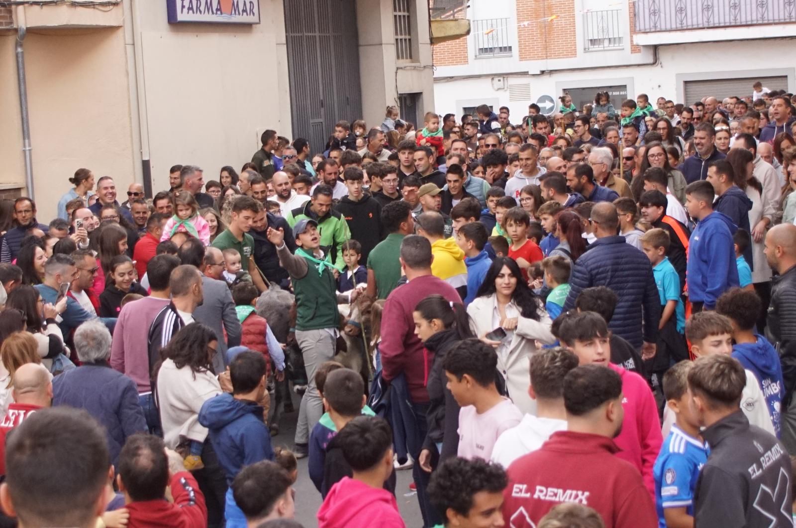 Alba de Tormes celebra un encierro, capea y encierro de minibueyes