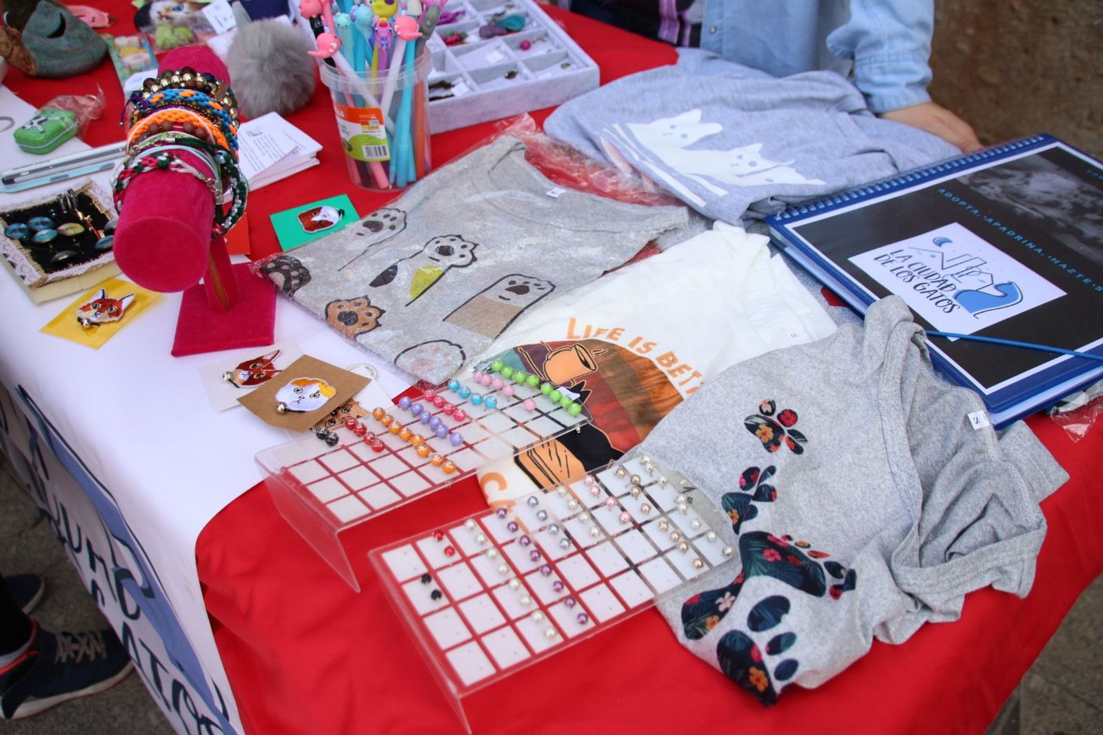 20230609174046-img-1118