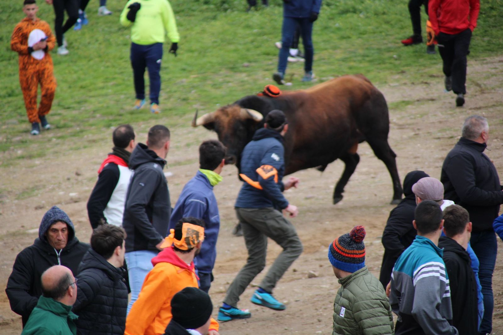 whatsapp-image-2025-03-01-at-11-56-28-1