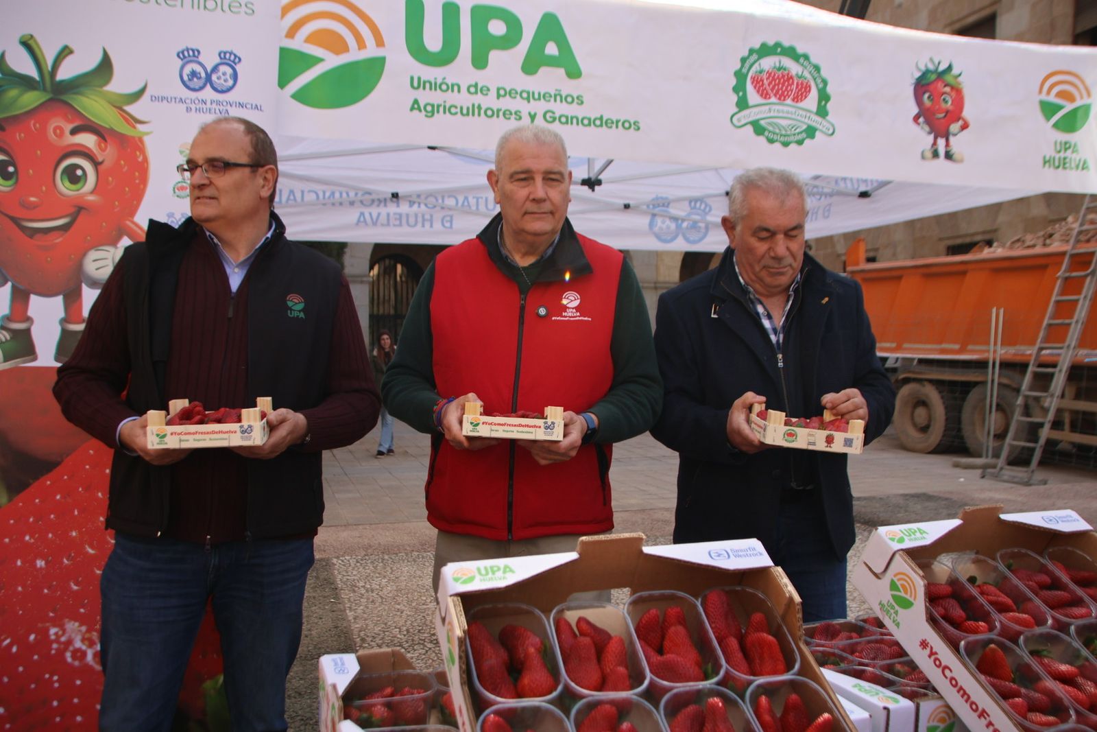 UPA reparte 700 tarrinas de fresas