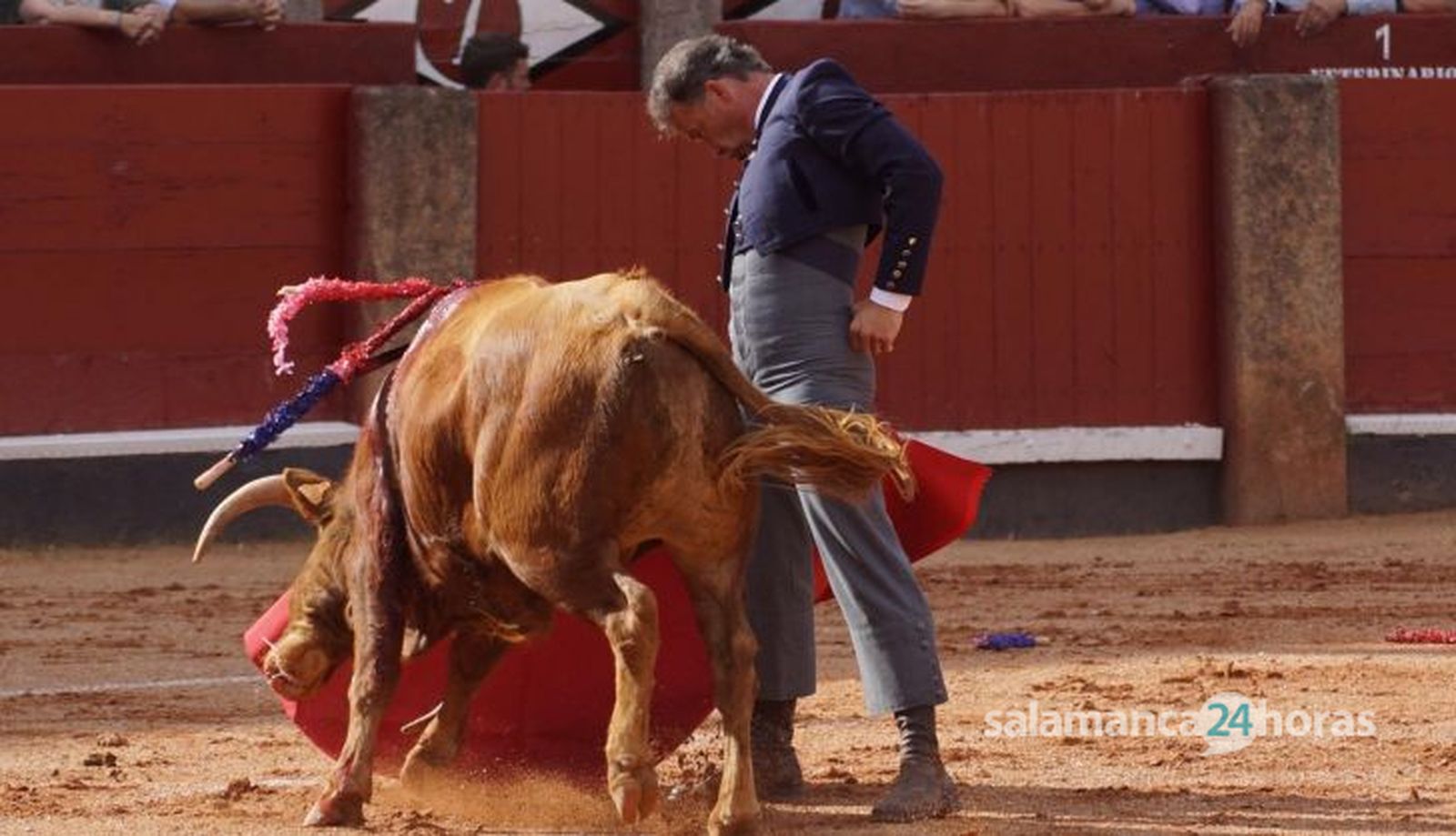Clase magistral taurina por San Juan de Sahagún en Salamanca: imágenes del festejo Clase magistral taurina por San Juan de Sahagún en Salamanca: imágenes del festejo