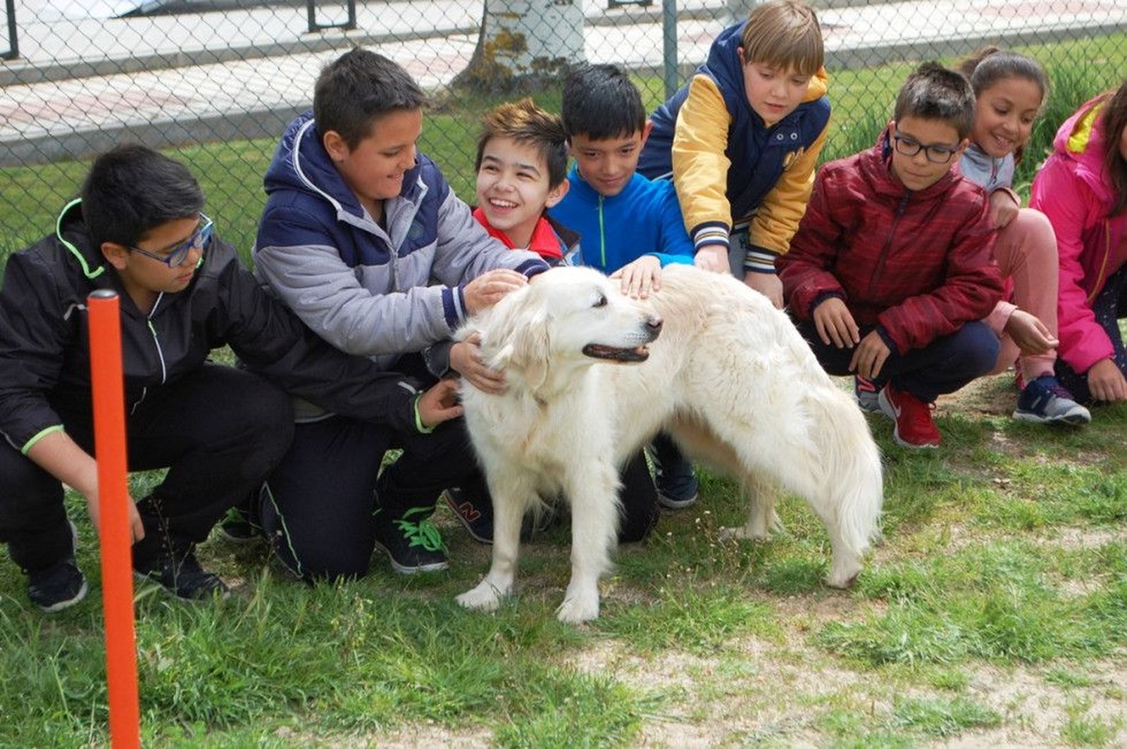 Tras sus huellas Carbajosa (6)