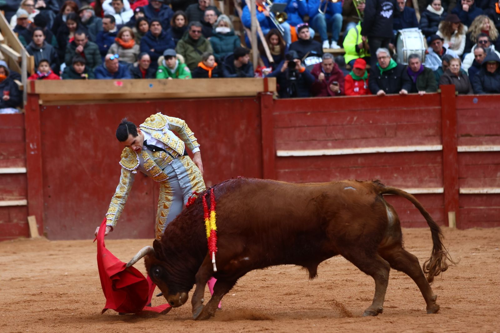 Novillada con picadores de lunes en el Carnaval del Toro de Ciudad Rodrigo 2026