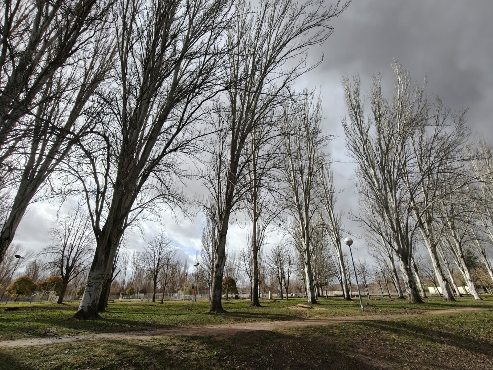 Parque, jardines y campos de fútbol de La Aldehuela
