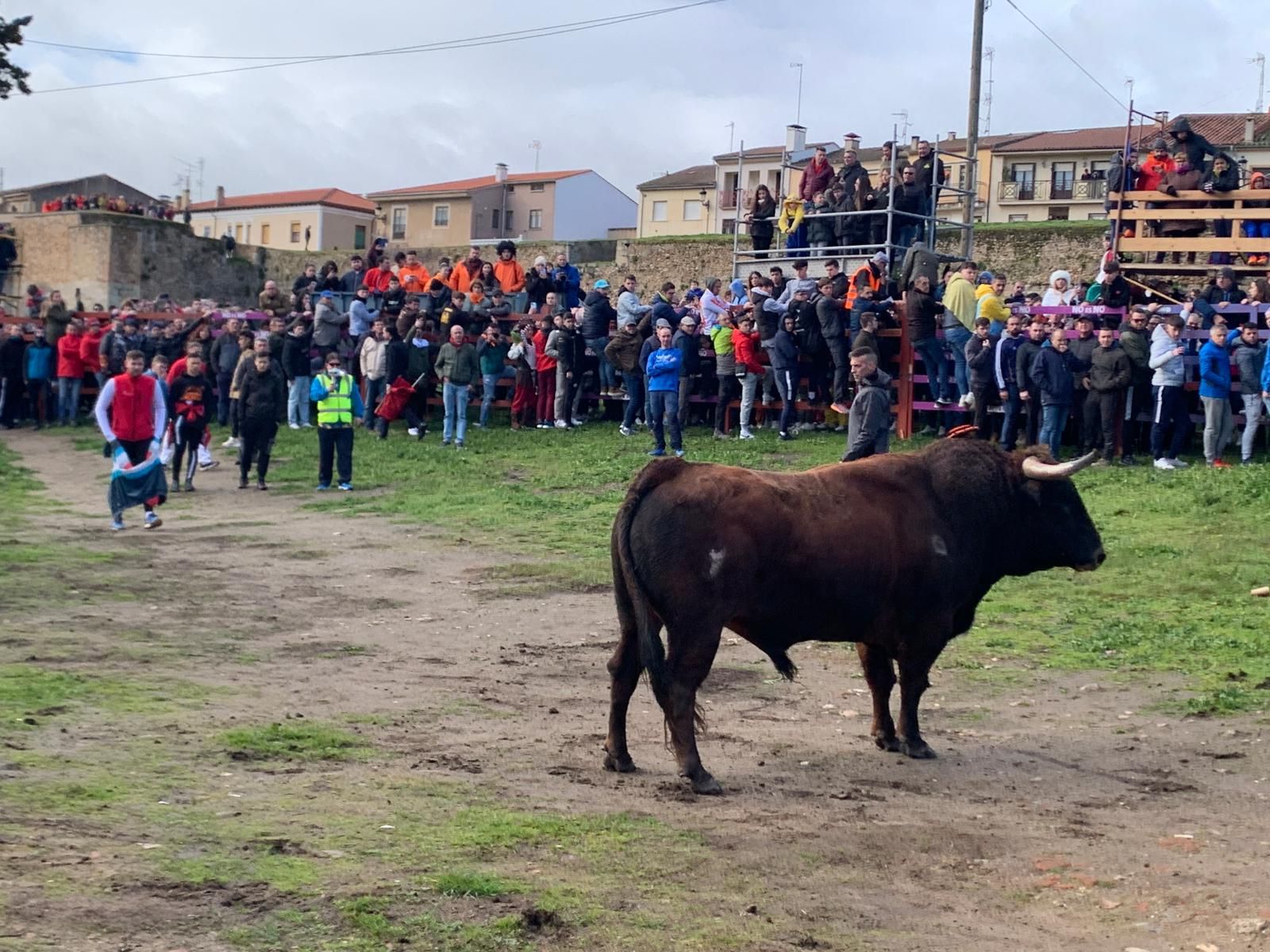 whatsapp-image-2024-02-10-at-11-36-11