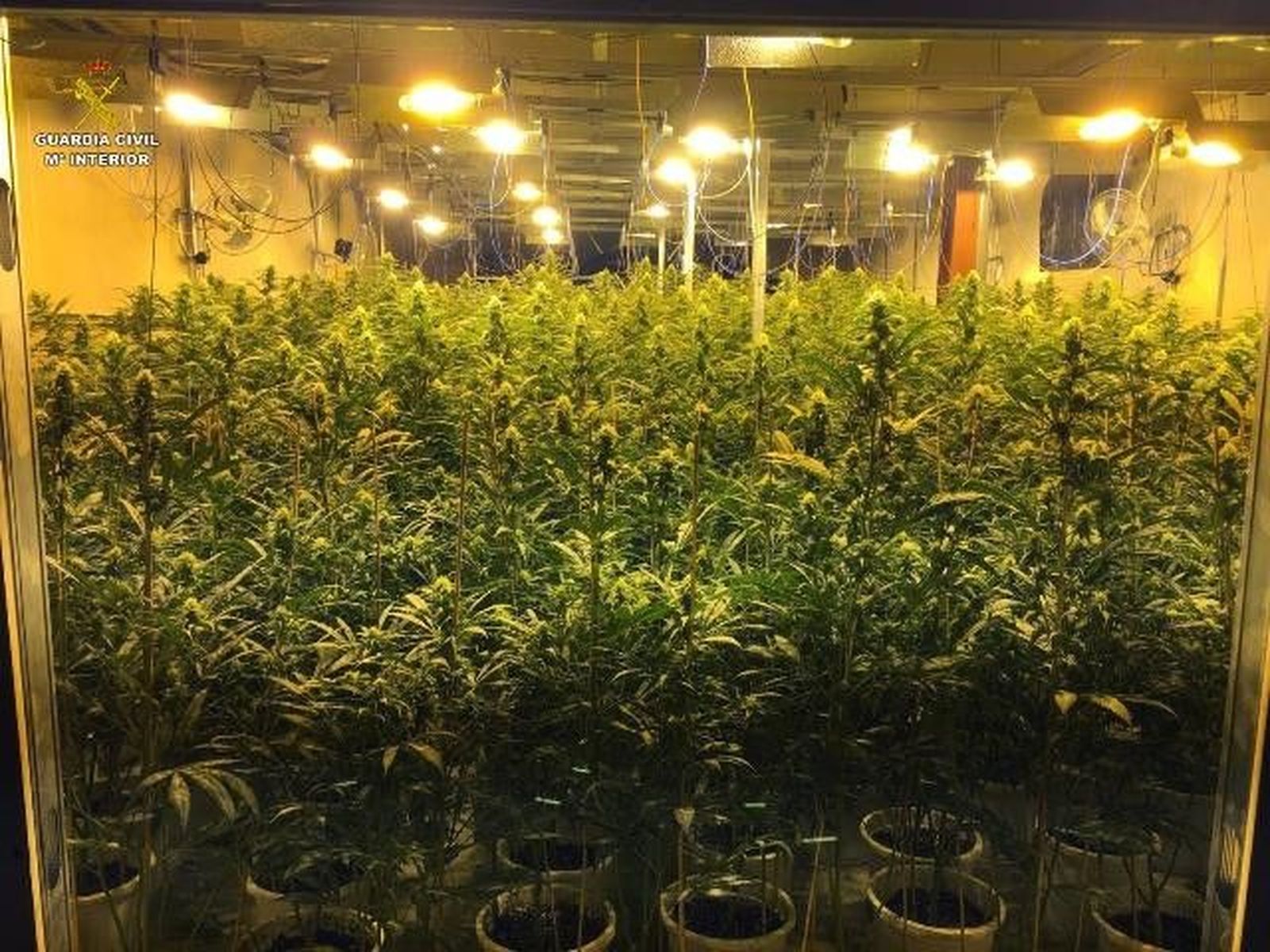 25 04 19 OP TERMAL QUINCUNCE 02