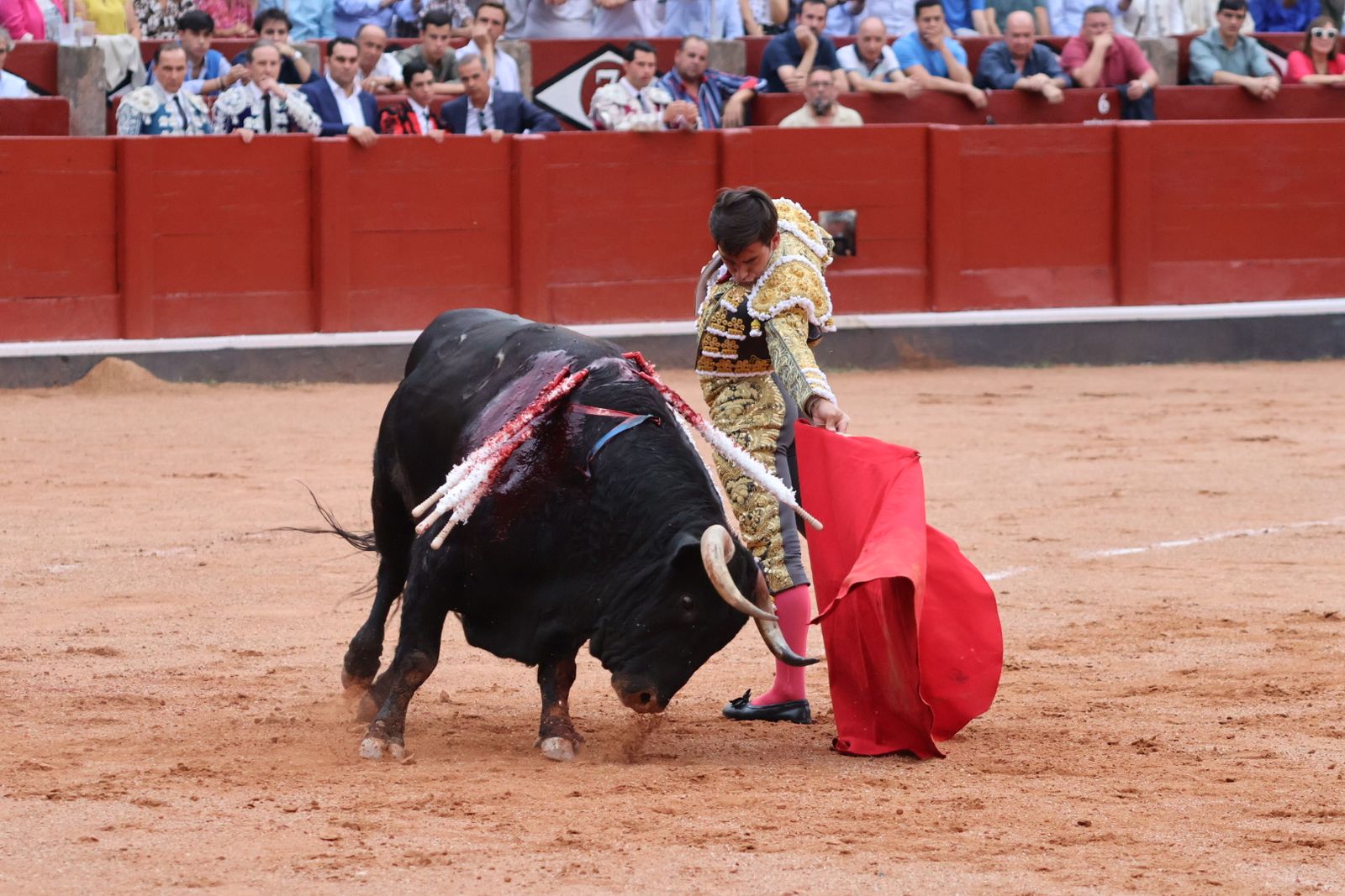 Ismael Martín, Marco Pérez y el aclamado regreso de Morante de la Puebla: su paso por La Glorieta en imágenes