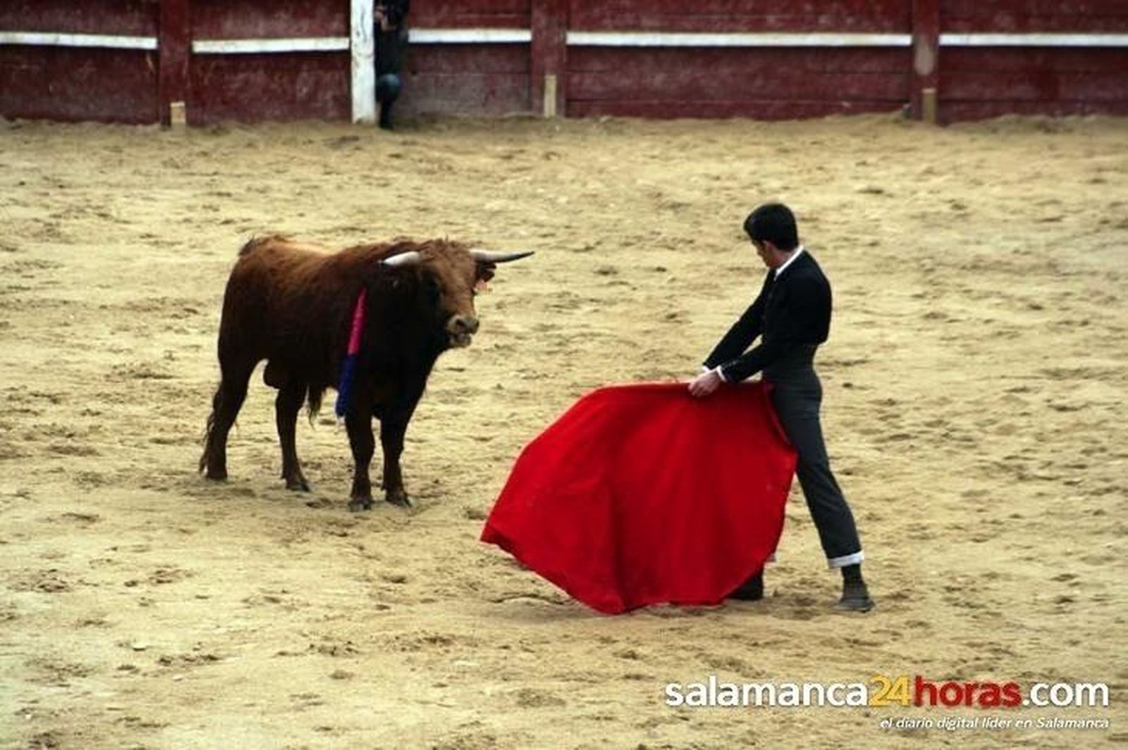 La espada priva de triunfos a Navarrete, Iván González y Luis Miguel Naharro La espada priva de triunfos a Navarrete, Iván González y Luis Miguel Naharro