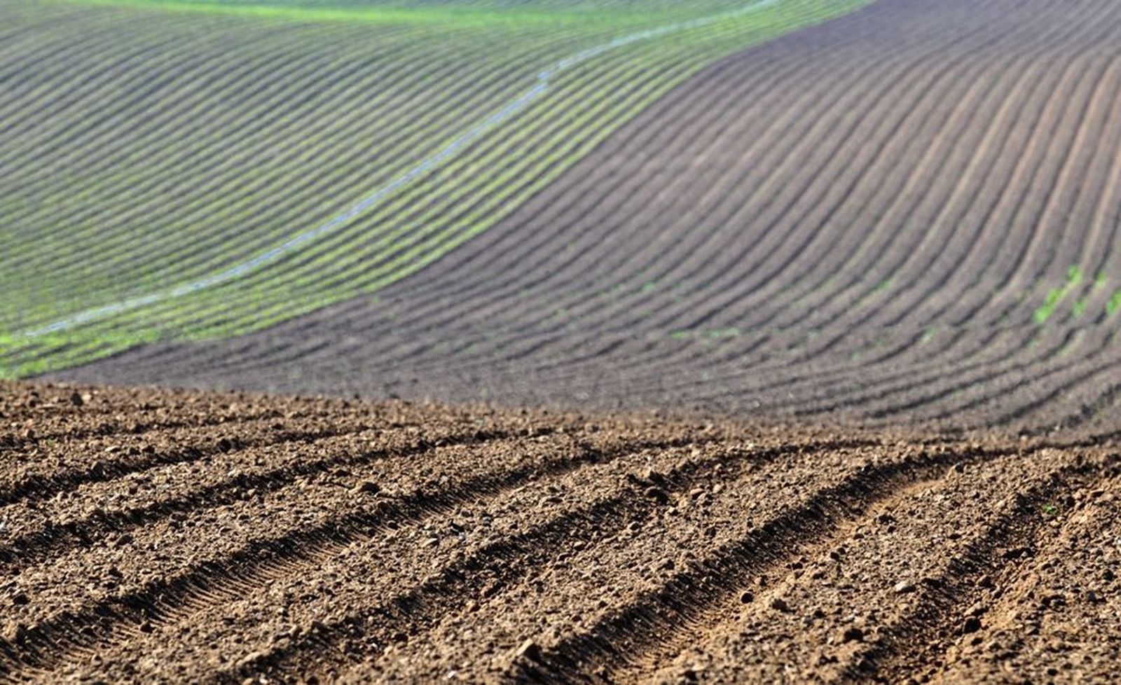 Tierra barbecho y sembrado. Foto de archivo