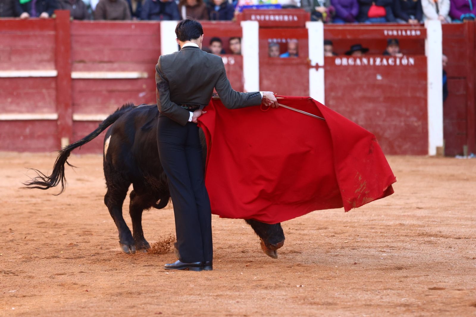 Festival del martes en el Carnaval del Toro 2026