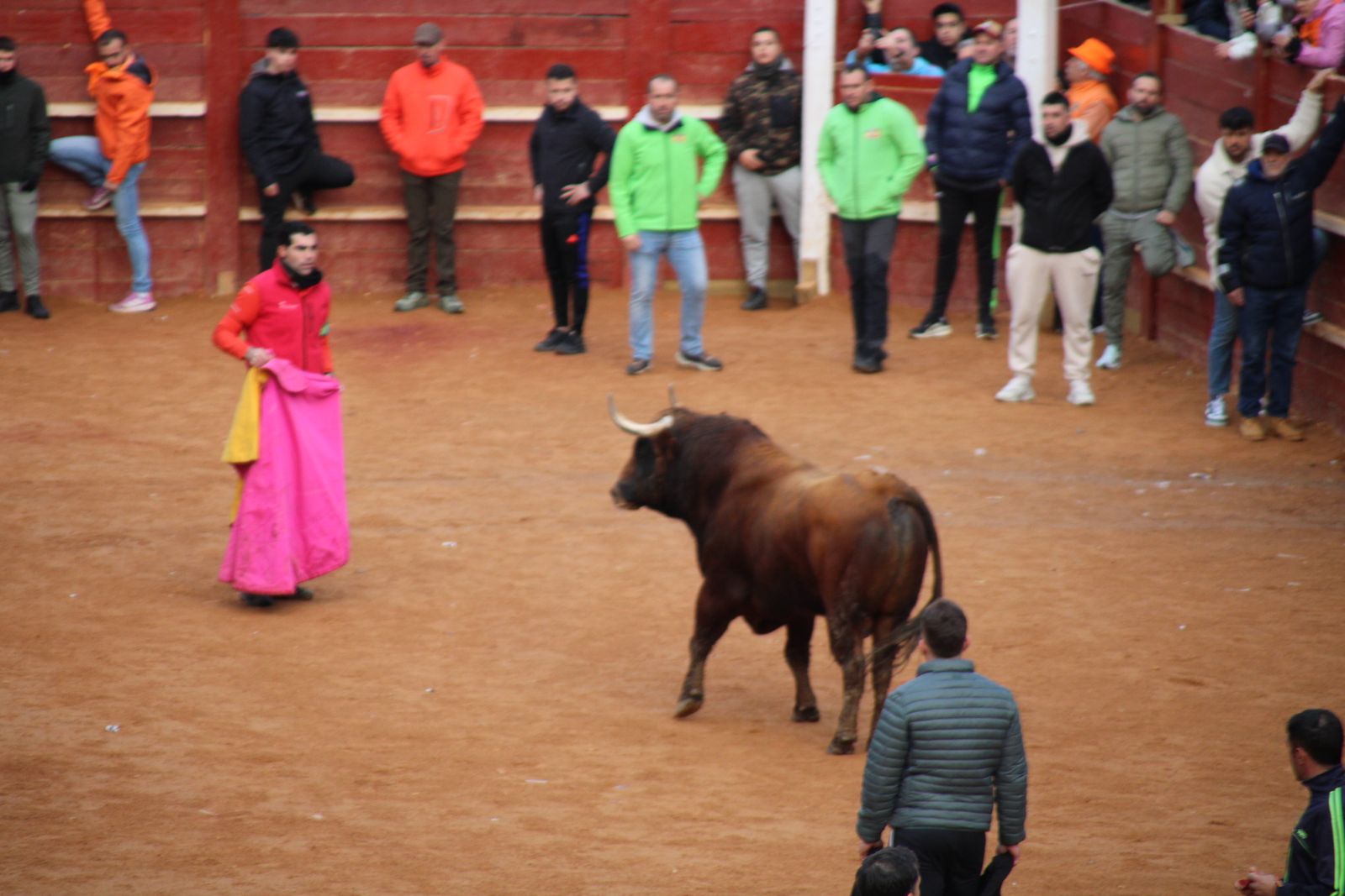 Toro del aguardiente en la mañana de martes del Carnaval del Toro 2026