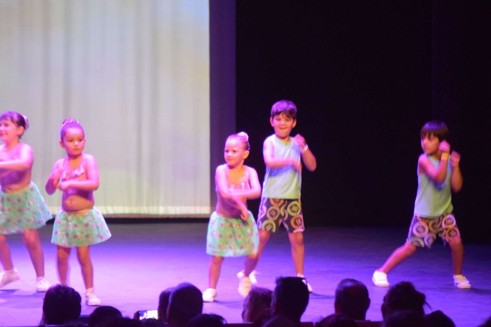 espectaculo-volver-de-escena-en-el-teatro-ramos-carrion-8