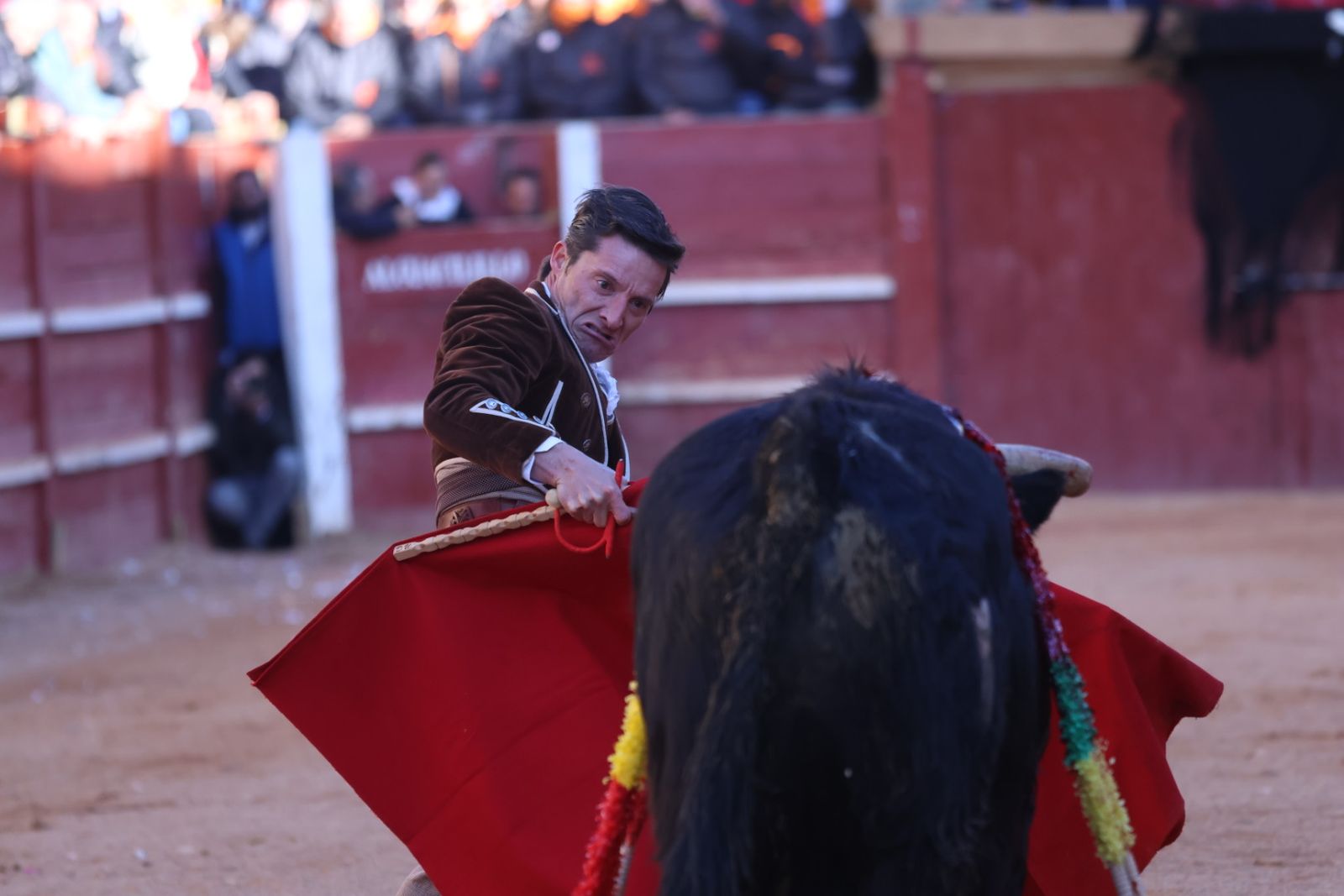 Festival taurino del Sábado en el Carnaval del Toro 2026 de Ciudad Rodrigo