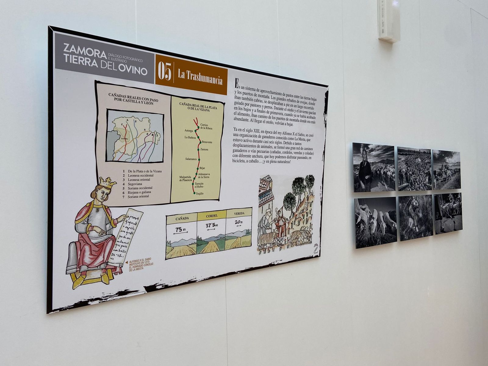 Inauguración de la muestra 'Zamora, Tierra del Ovino' (2)