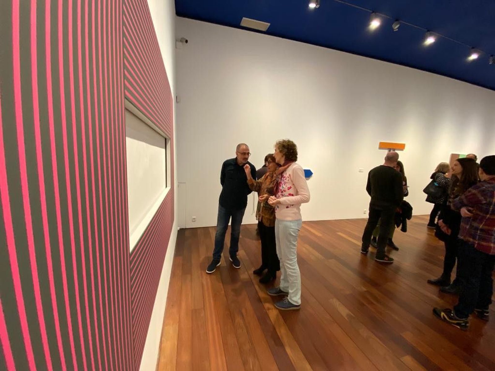 Exposicion museo zamora