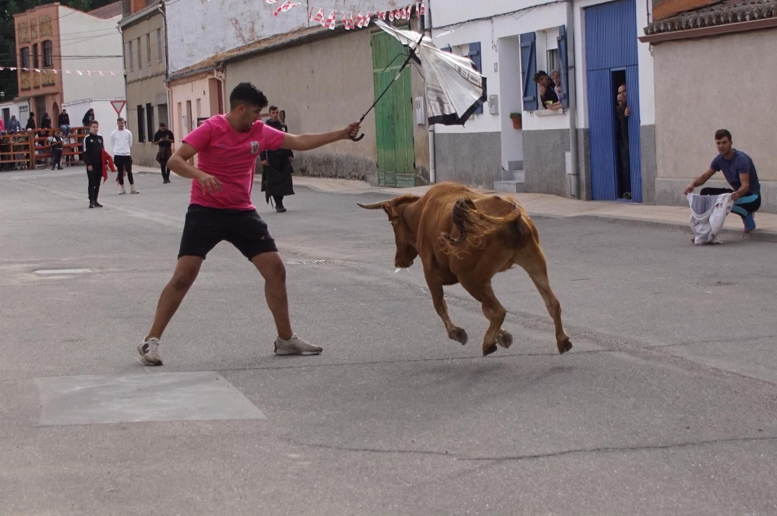 whatsapp-image-2024-09-08-at-14-04-57-6