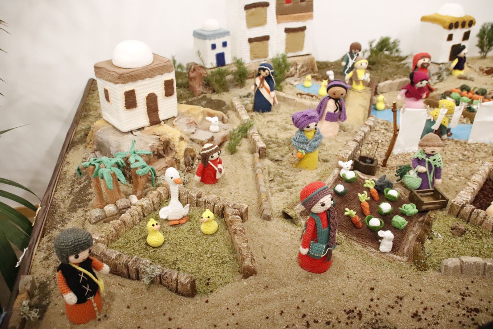 20221202203051-mg-5069