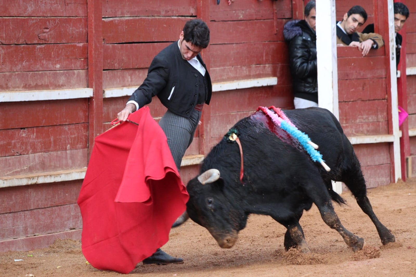 whatsapp-image-2023-02-21-at-17-35-05