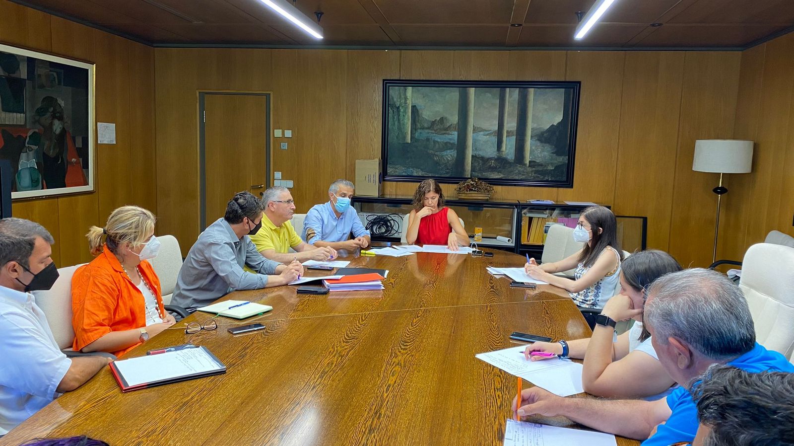 Imagen de la reunión con las OPAS