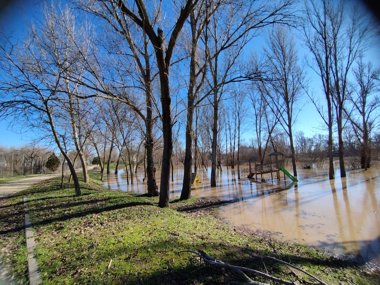 whatsapp-image-2024-01-20-at-13-23-13-1