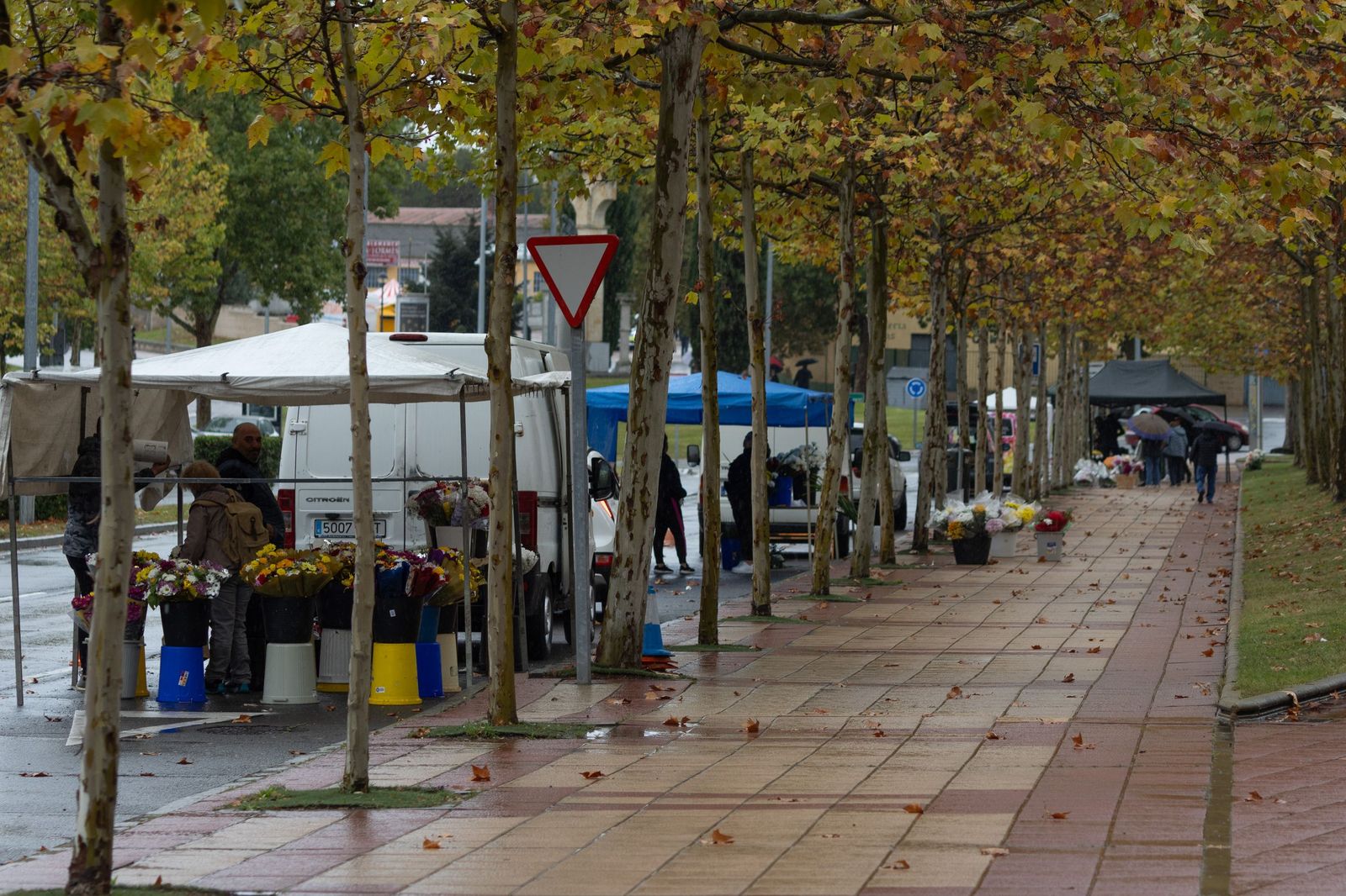 Lluviosa mañana de todos los santos en el Cementerio San Carlos Borromeo de Salamanca
