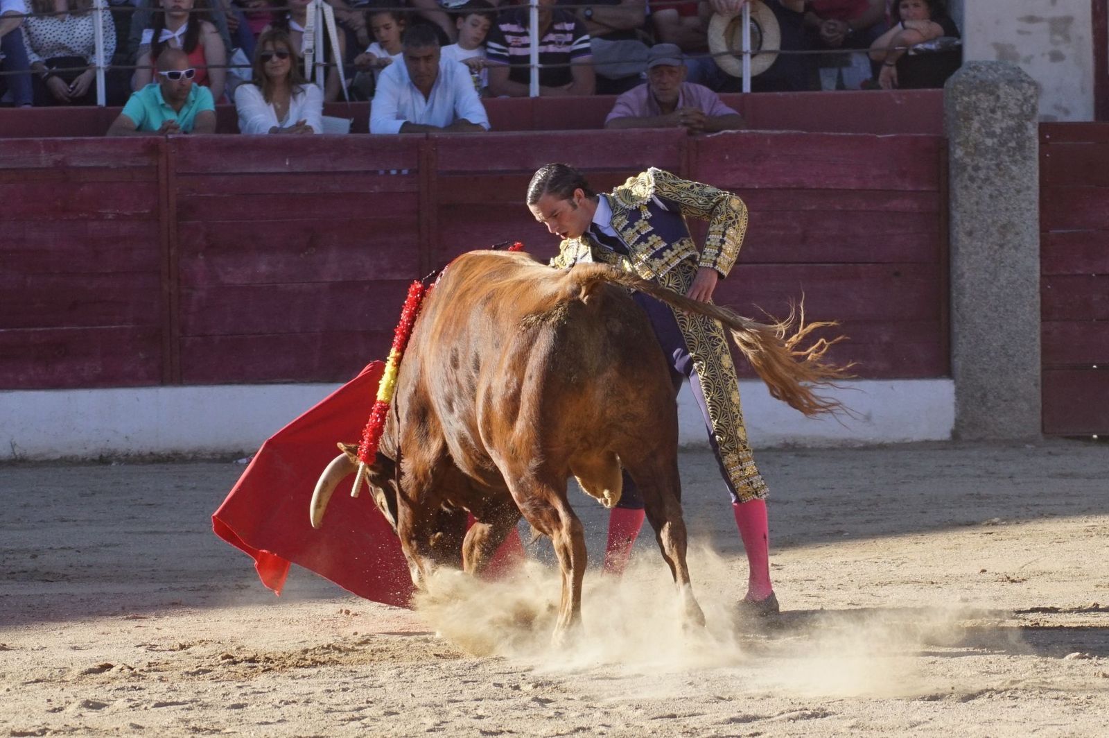 whatsapp-image-2024-06-02-at-22-11-58