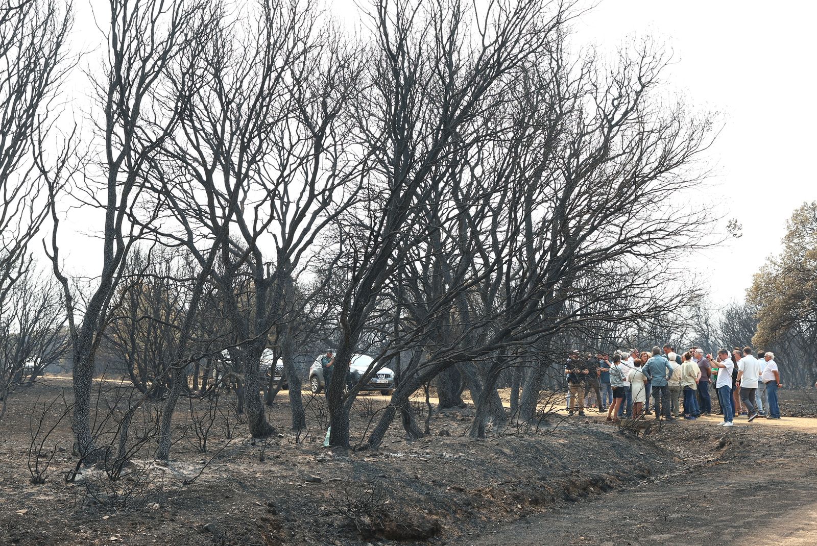 GALERÍA | Así ha sido la visita de Pedro Sánchez a Molezuelas de la Carballeda