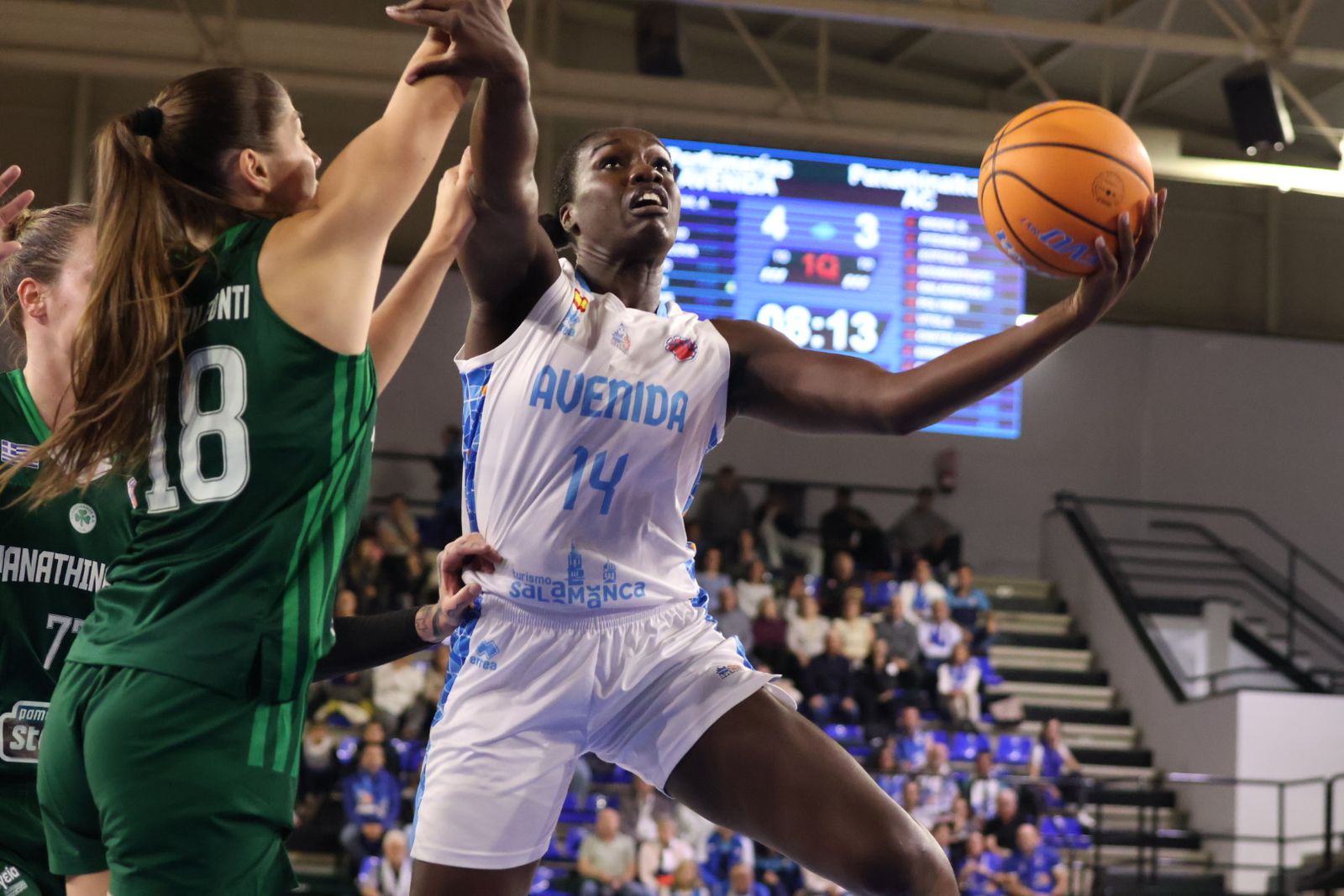 Perfumerías Avenida - Panathinaikos