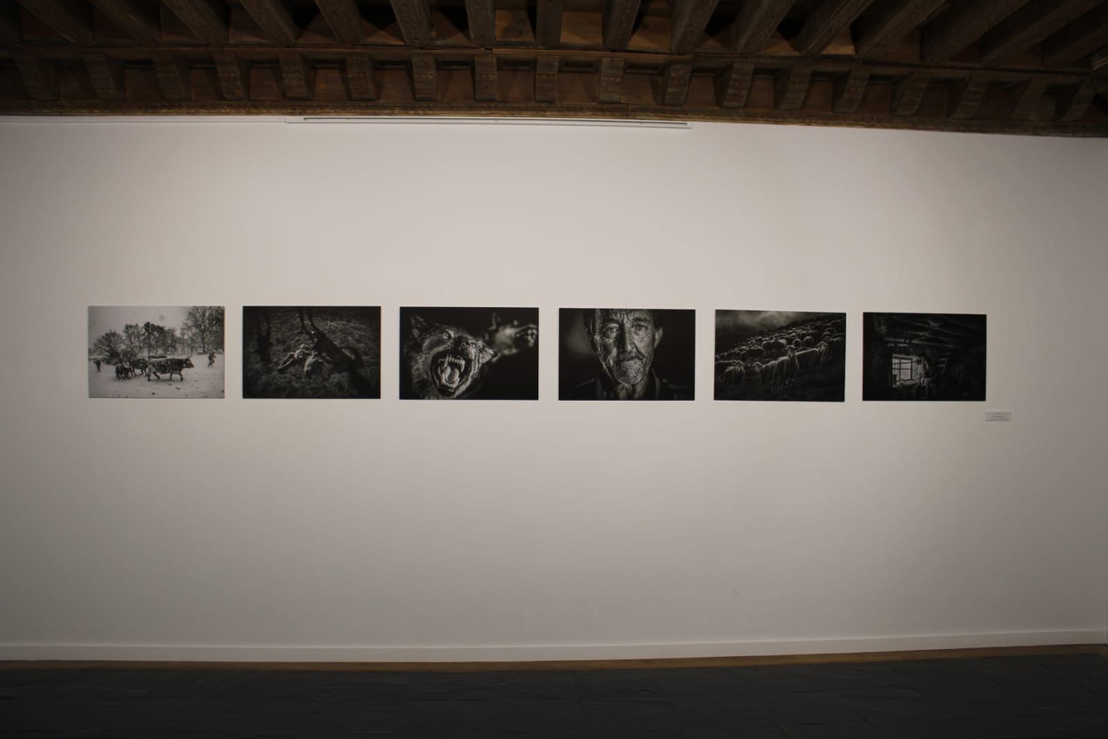 exposicion-transversalidades-fotografia-sin-fronteras-19