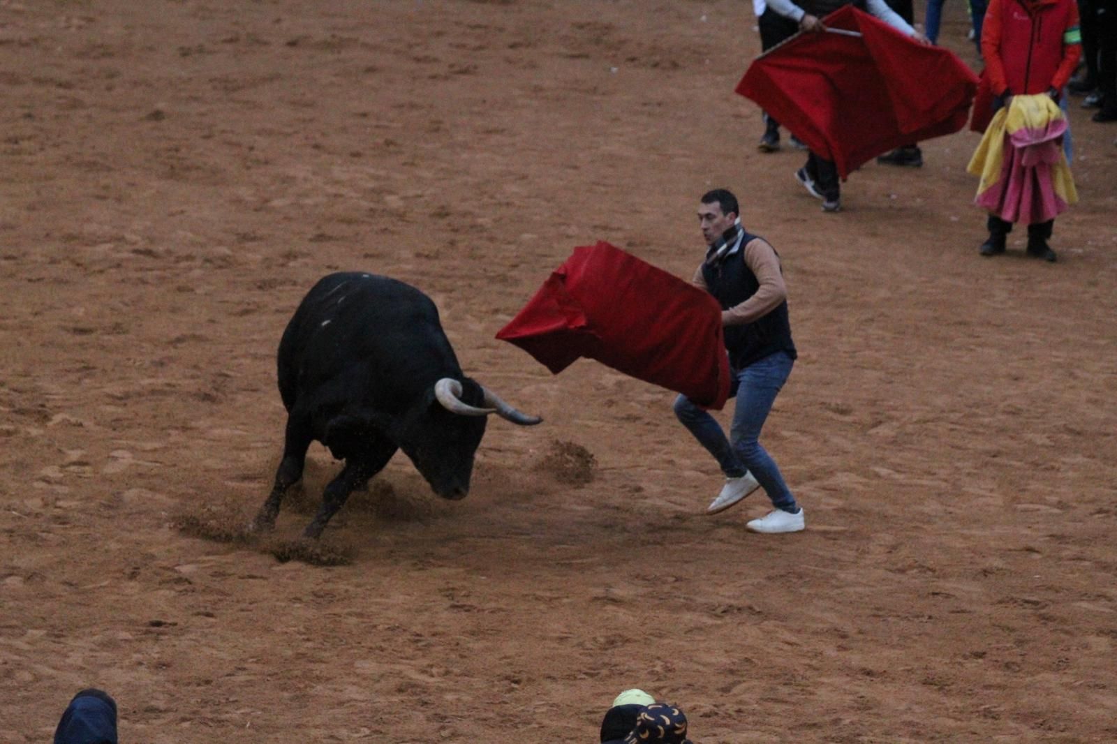 ambiente-y-capea-vespertina-sabado-de-carnaval-en-ciudad-rodrigo-2025-fotos-belen-hurtado-37