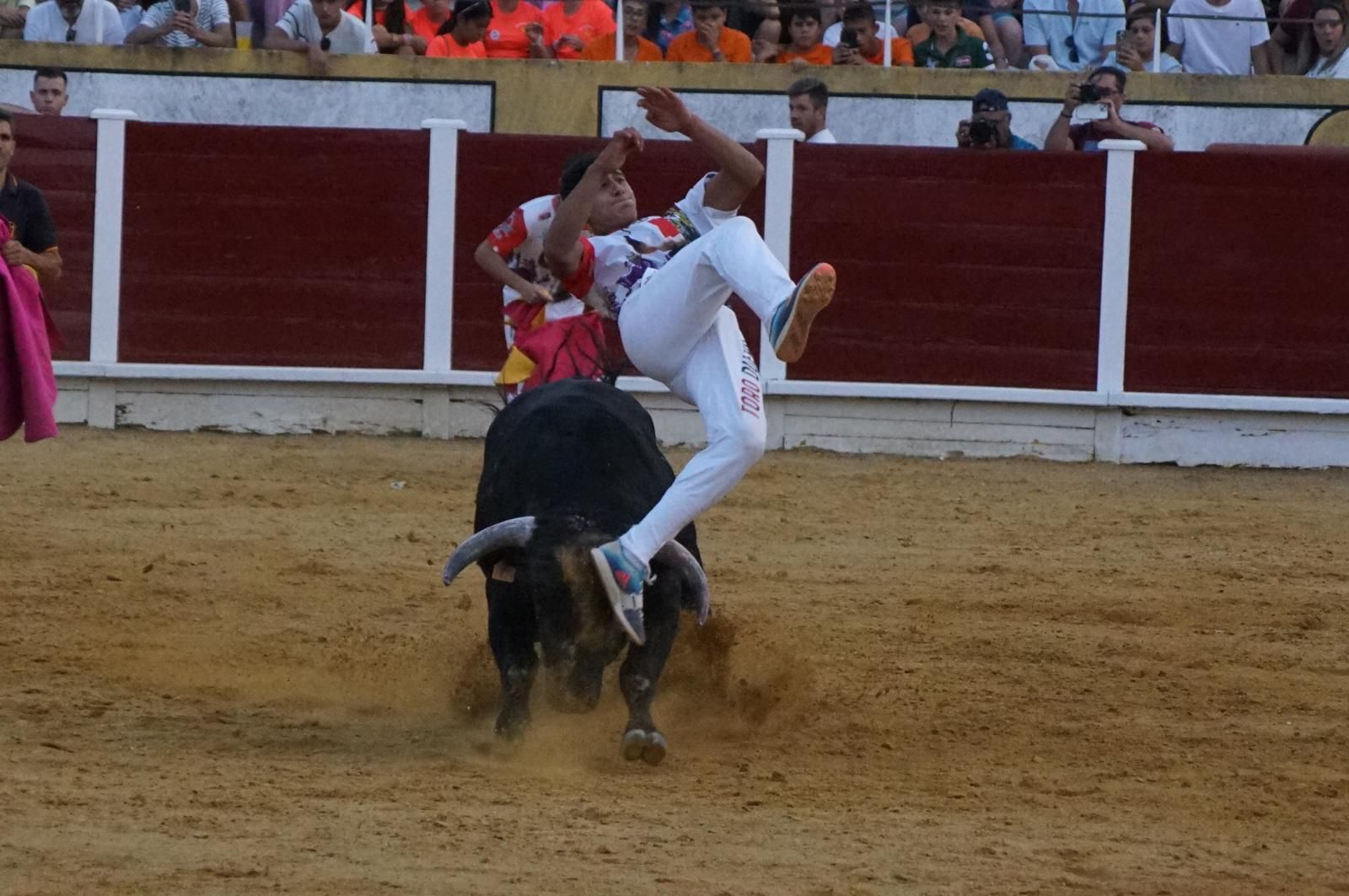 Gran ambiente en los cortes y la suelta de vaquillas de Peñaranda