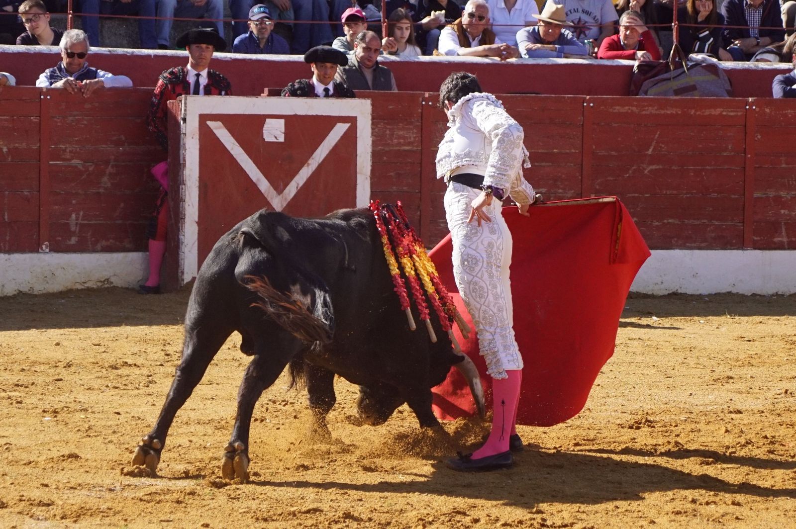 novillada-con-picadores-en-villoria-38