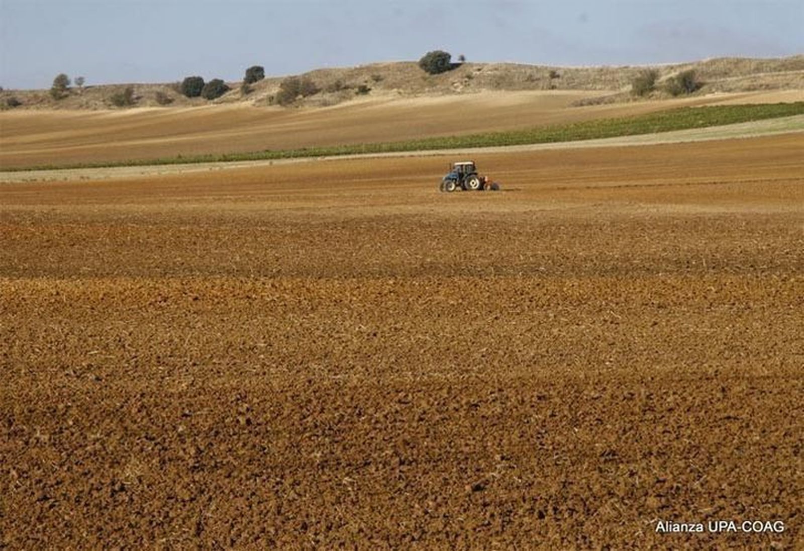 La Lonja de Zamora sigue la tendencia de Salamanca y apenas sufre variaciones