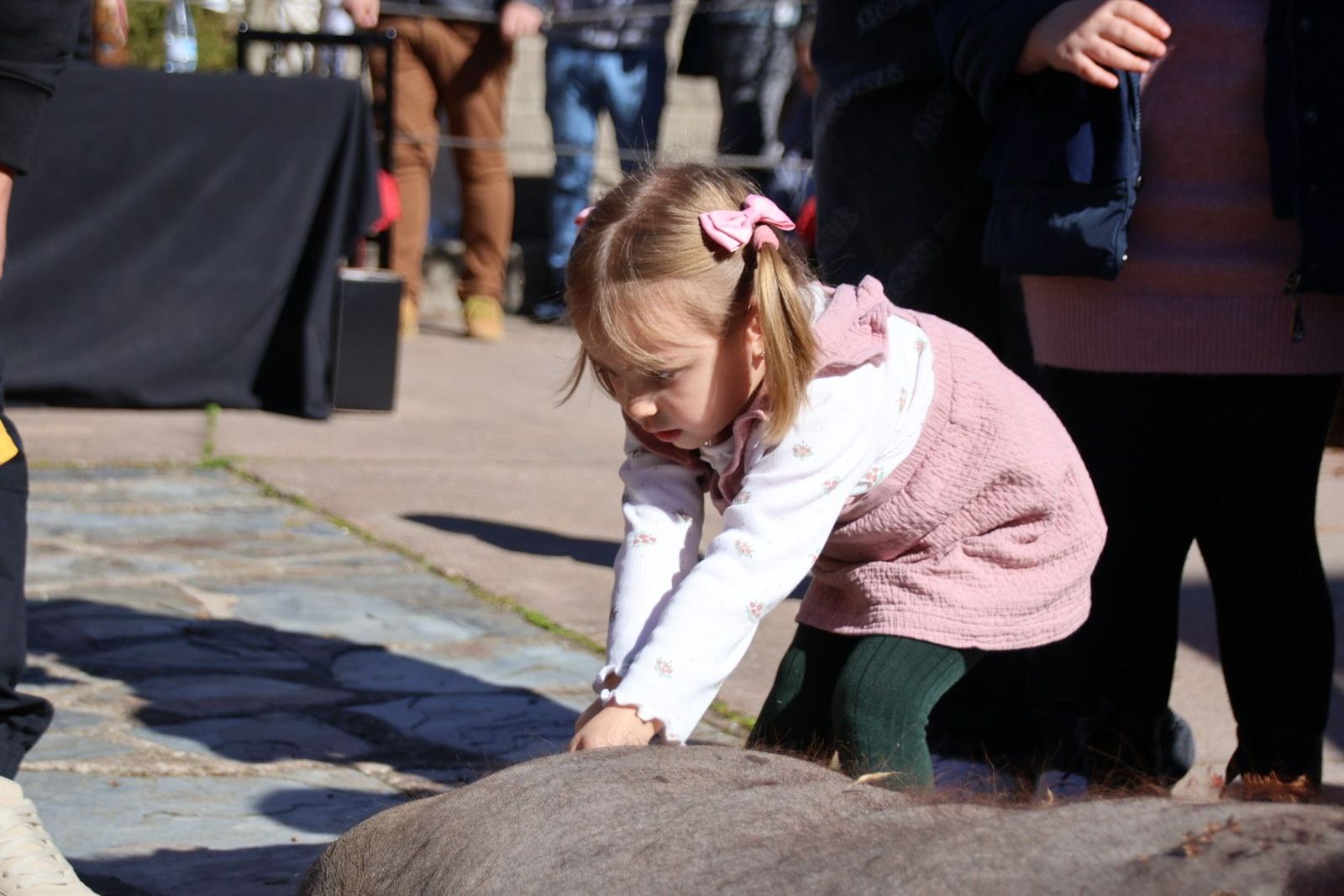 20240203131506-img-4458