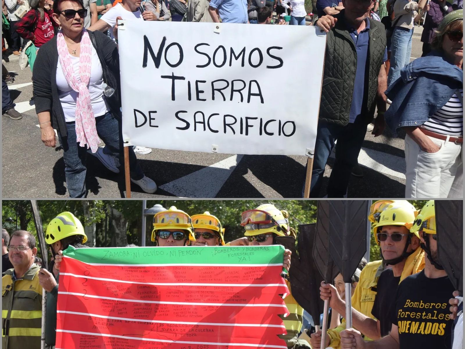 Documentales Muestra de Cine de Palencia