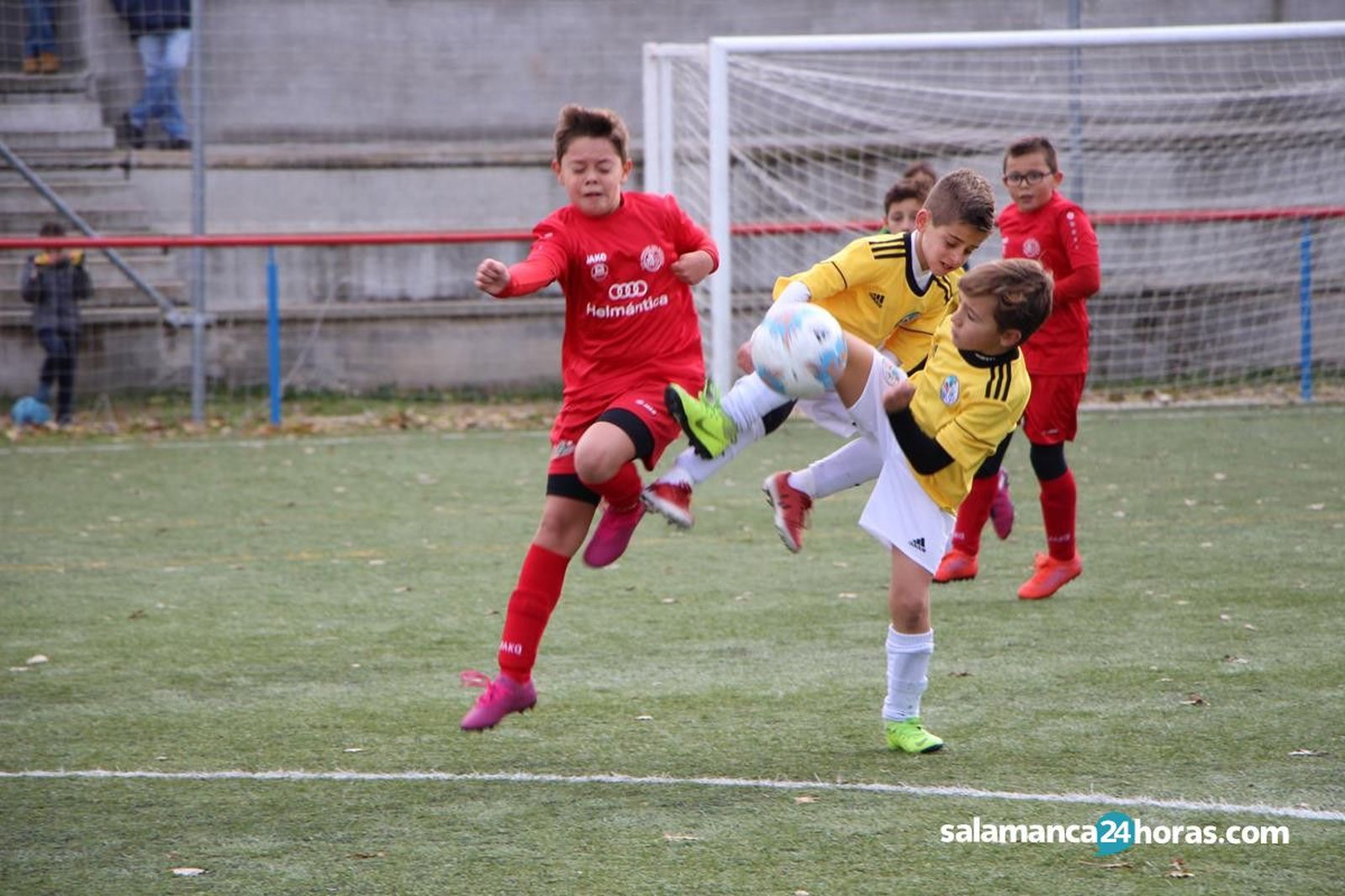 Benjamin  (103) (Copy)