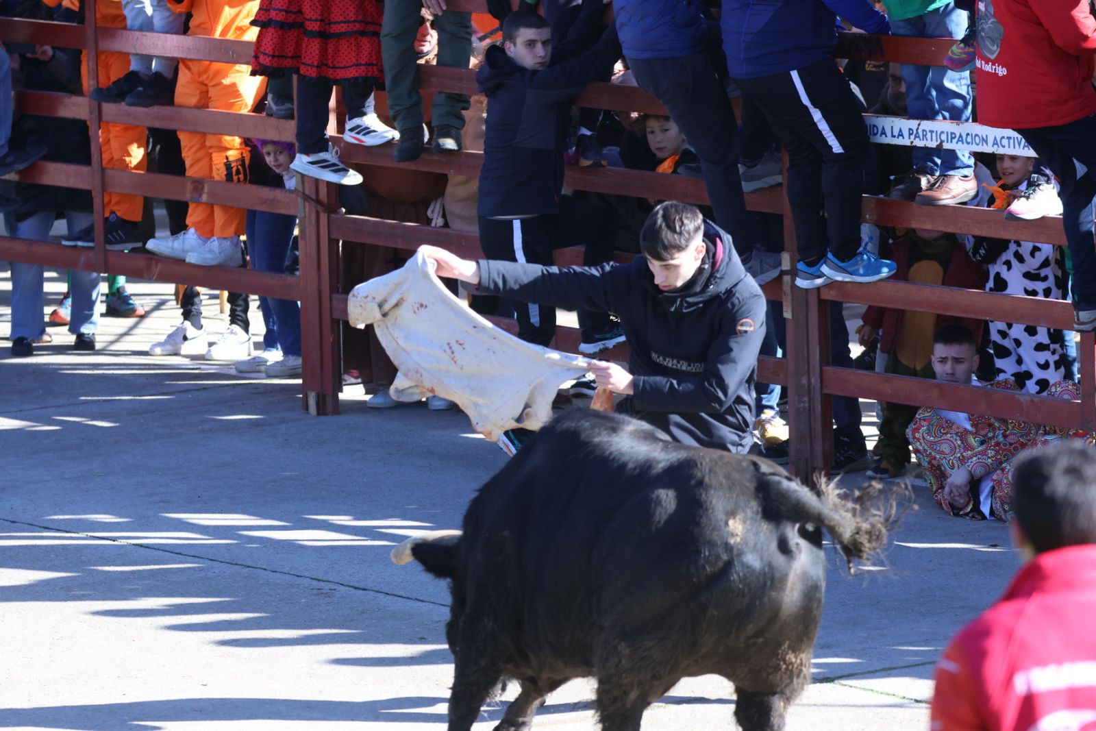 Toro del Antruejo 2026 en el Carnaval del Toro de Ciudad Rodrigo