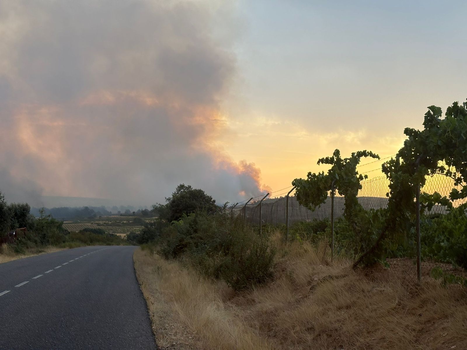 GALERÍA | Incendio grave en Puercas: este es su aspecto