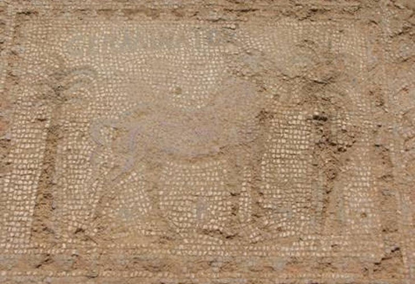 La Junta intervendrá en la villa romana de Camarzana para comenzar su adecuación a la visita pública