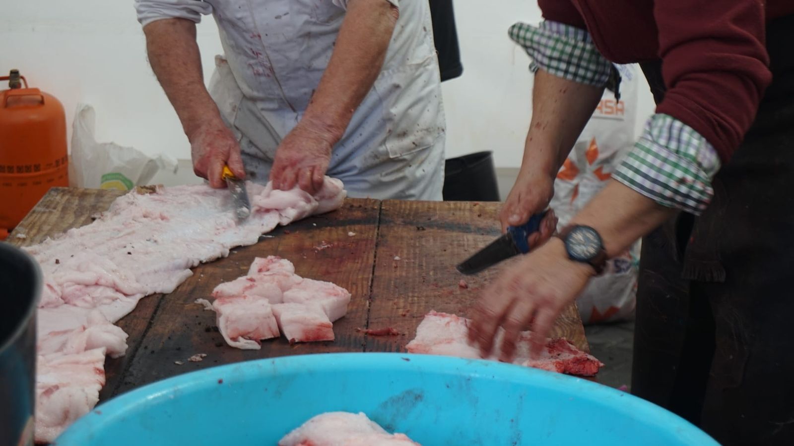 Matanza tradicional en Castellanos de Moriscos